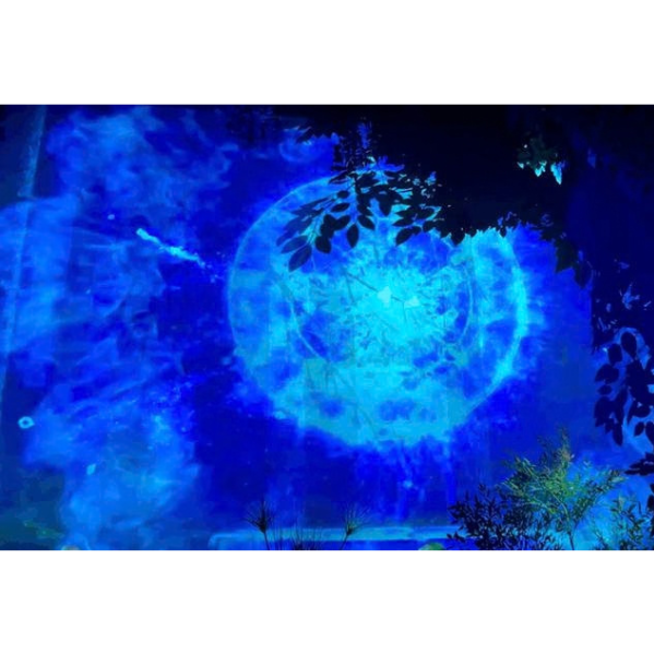 High-Tech Tourism Project Customization