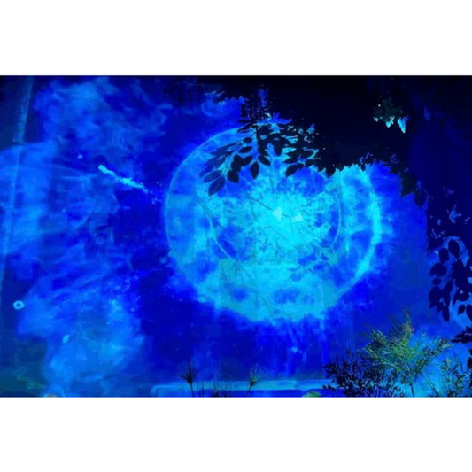 High-Tech Tourism Project Customization